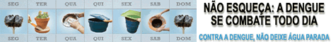 Combate &agrave; Dengue